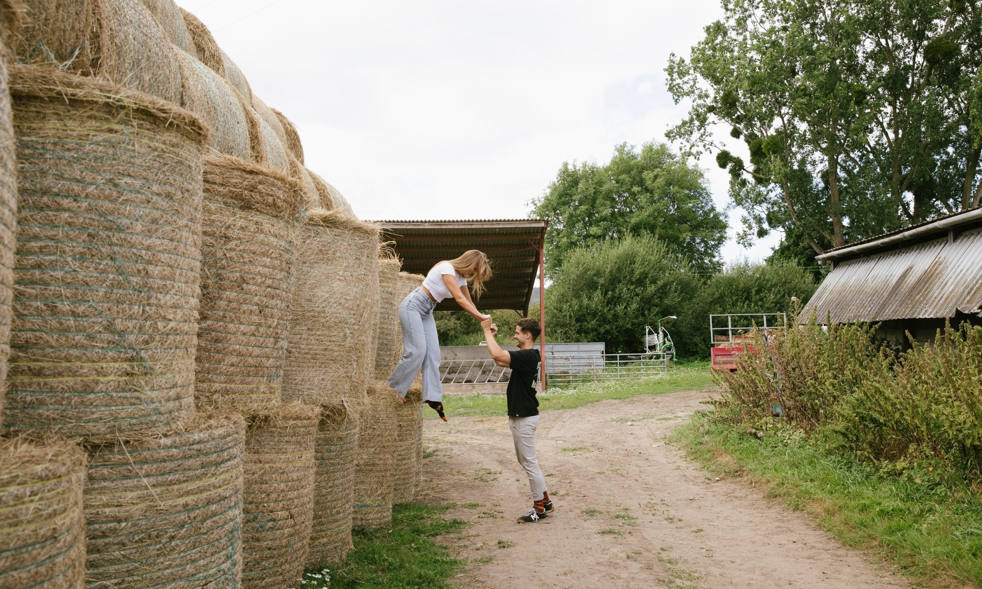 Adults - We Are Hedgy