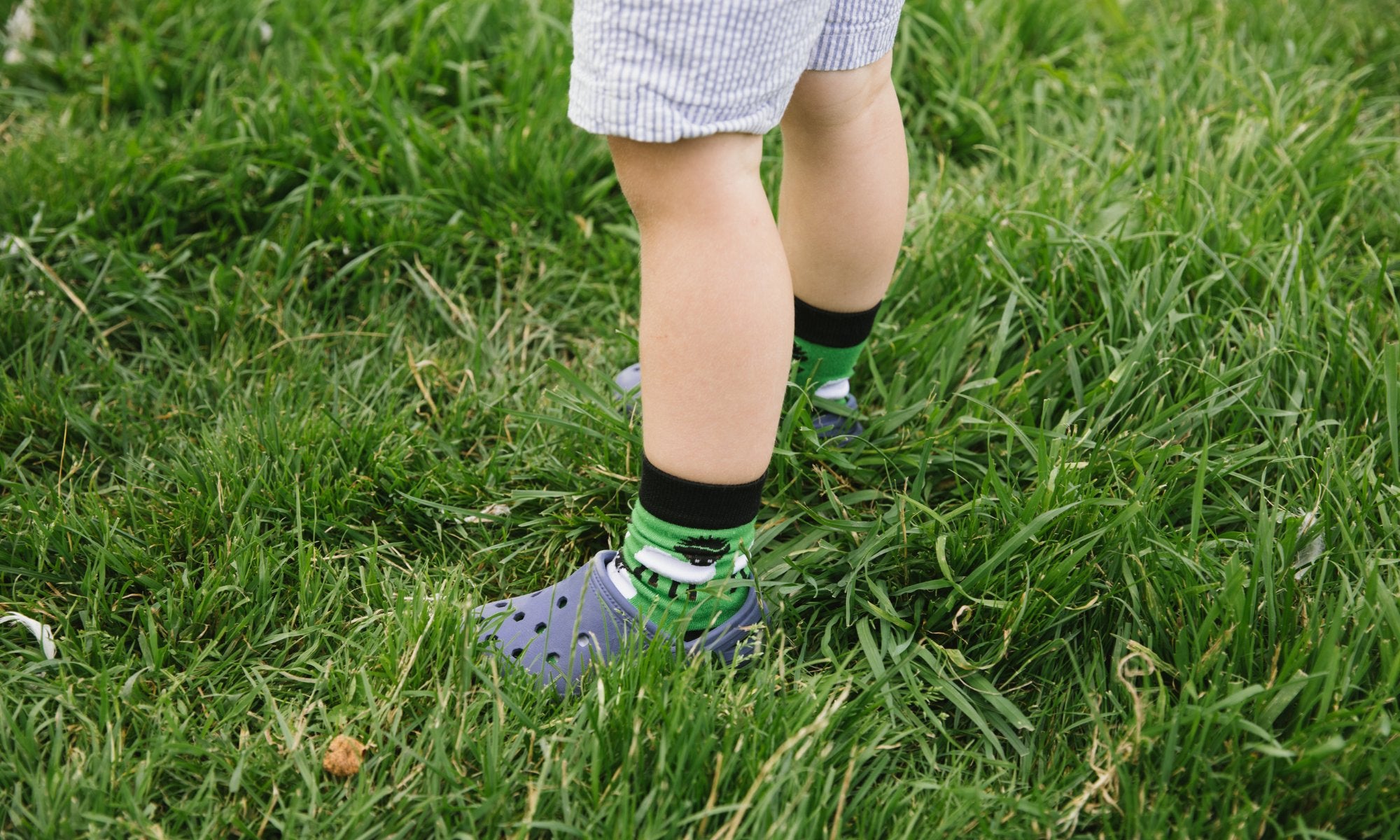 Animals - We Are Hedgy