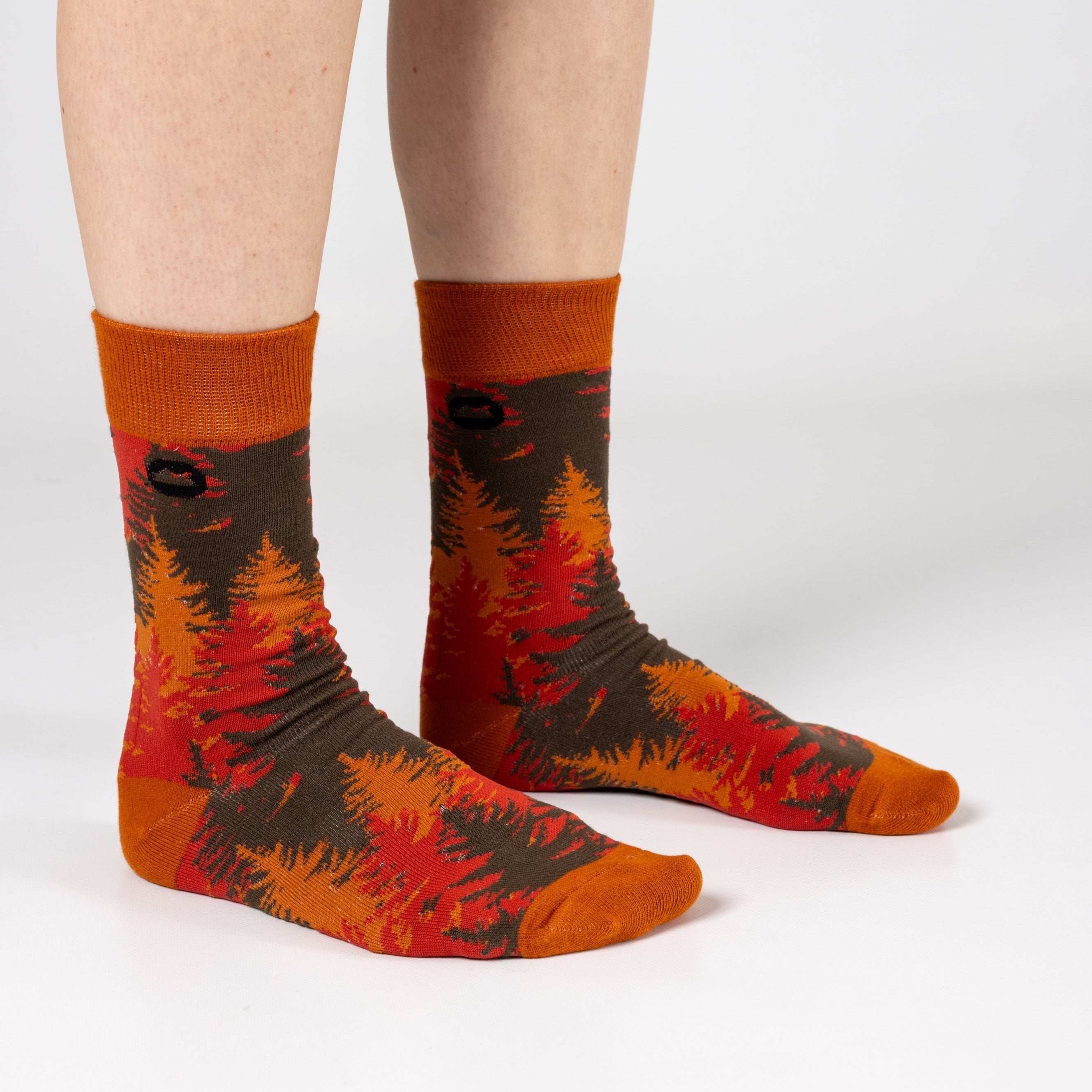 AUTUMN BAMBOO SOCKS - We Are Hedgy