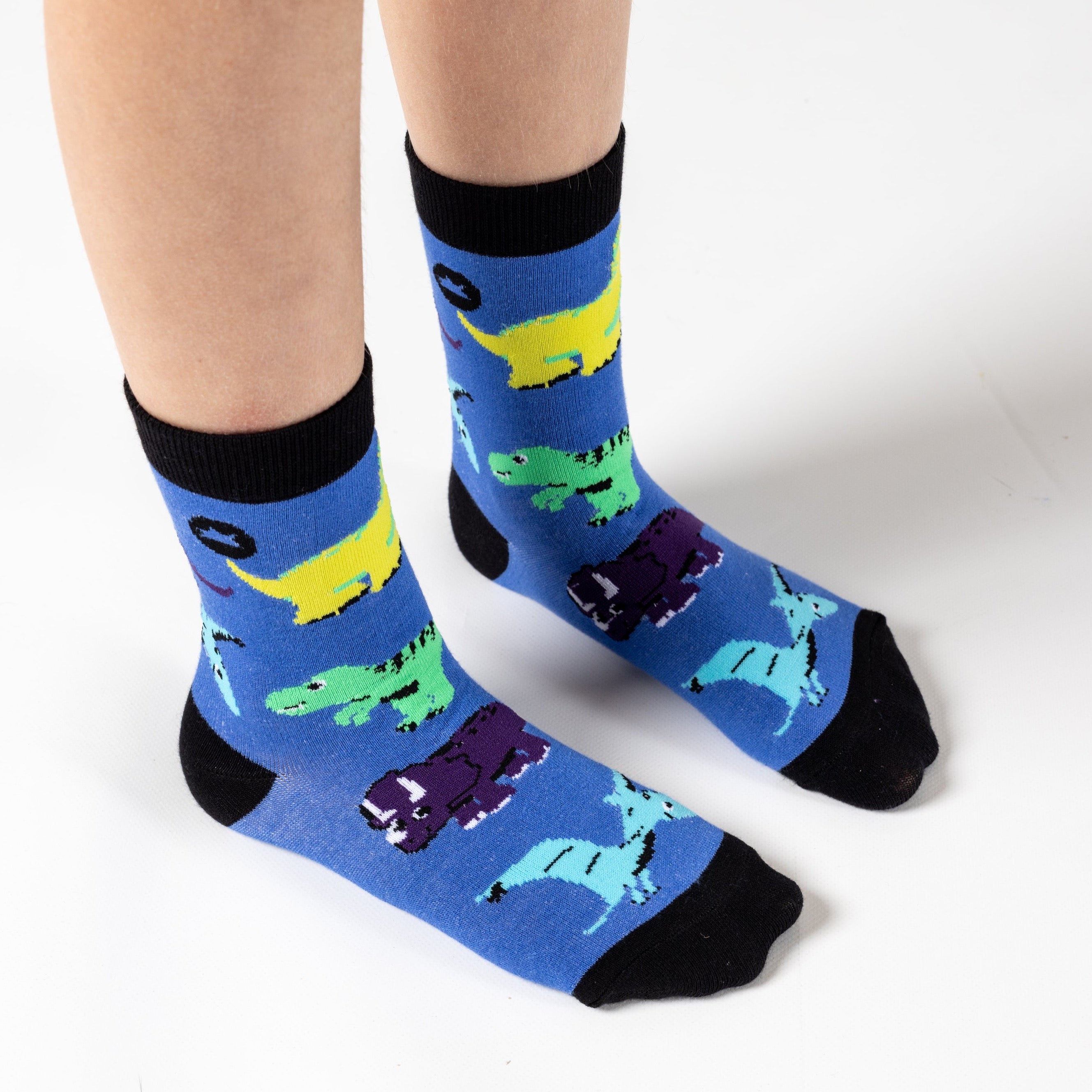 KIDS BAMBOO SOCKS | DINOSAUR - We Are Hedgy