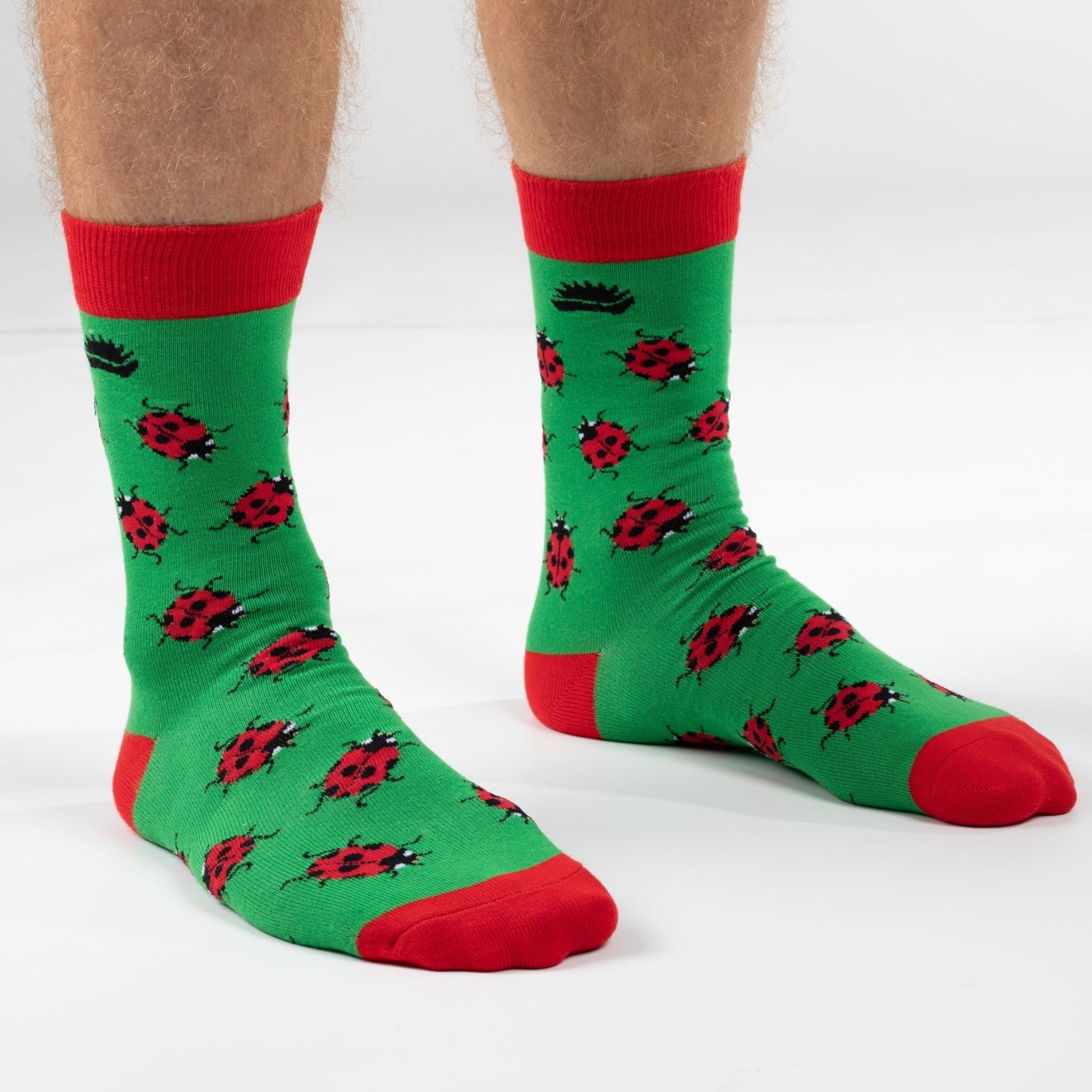 FAMILY BAMBOO SOCKS | LADYBIRD - HEDGY SOCKS