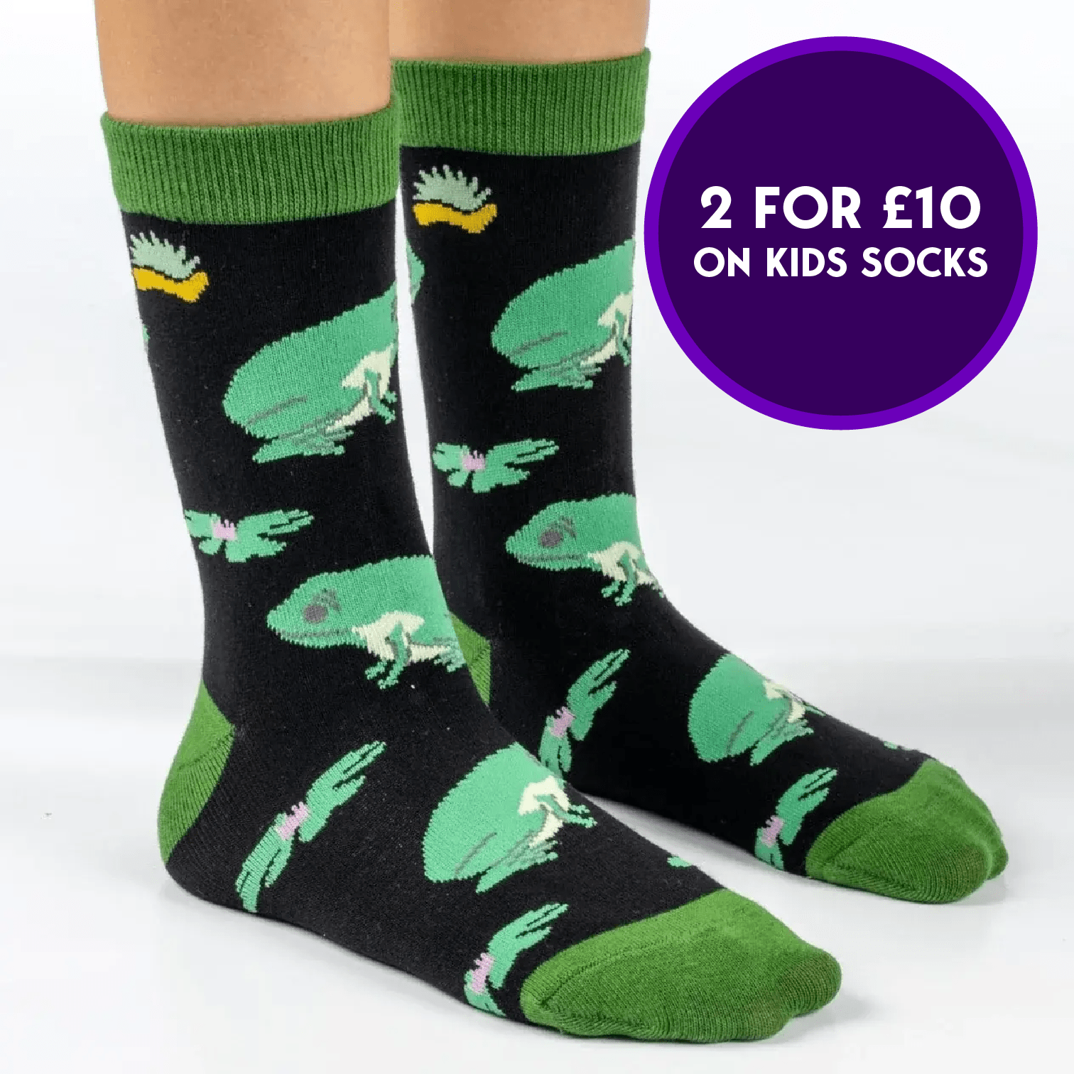 KIDS BAMBOO SOCKS | FROG - HEDGY SOCKS