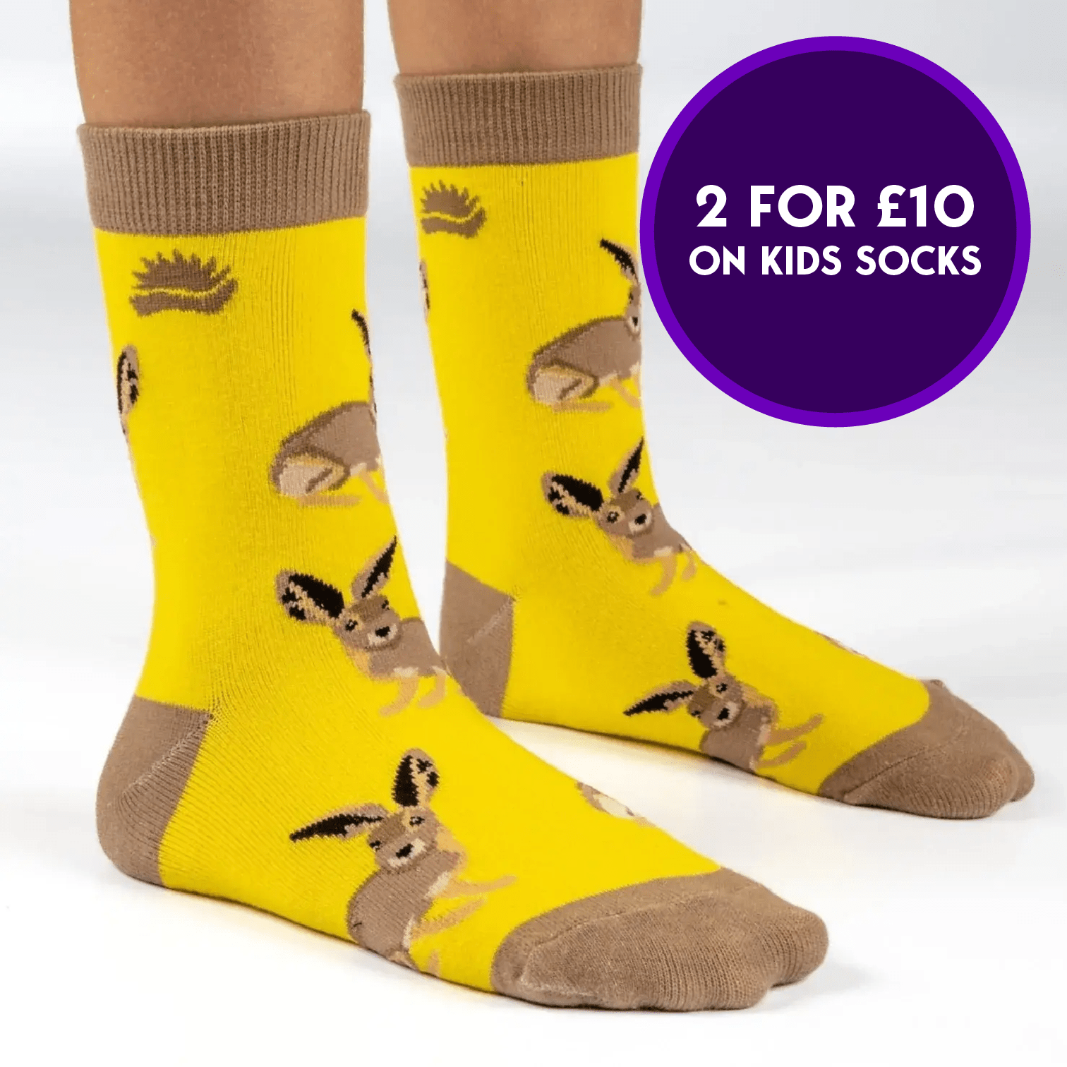 KIDS BAMBOO SOCKS | HARE - HEDGY SOCKS